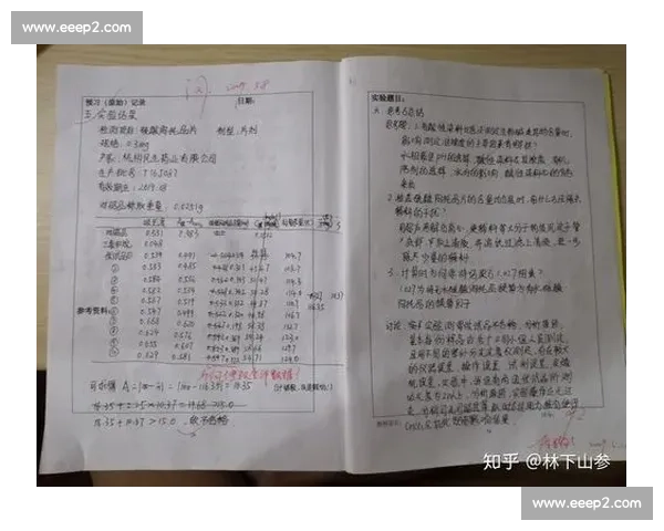 剧本创作过程的详细报告与关键环节分析